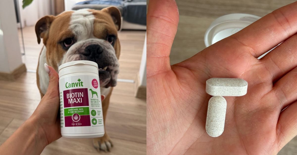 Lilo a canvit biotin max